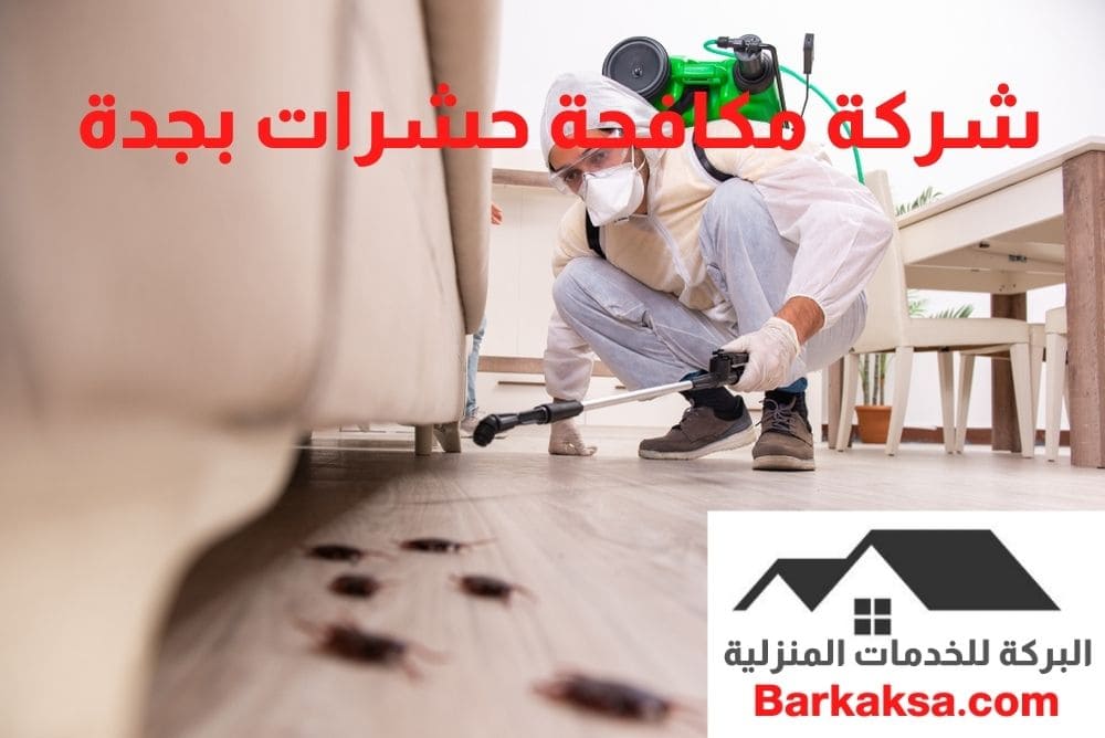 شركة مكافحة الحشرات بجدة