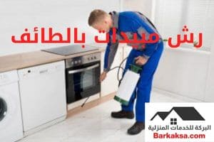 شركة مكافحة حشرات بالطائف